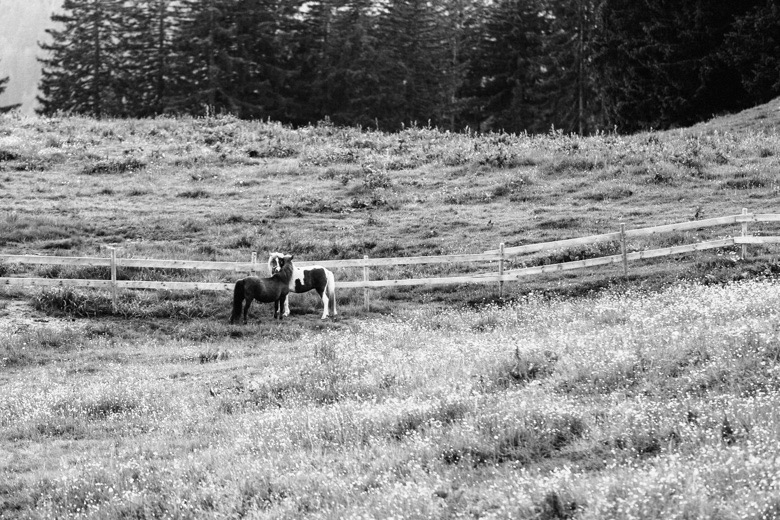 hochzeitsfotografie_vorarlberg_laterns_61