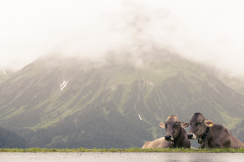 hochzeitsfotograf_lech_arlberg_04