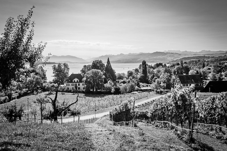 hochzeitsfotografie_zuerichsee_rapperswil_01